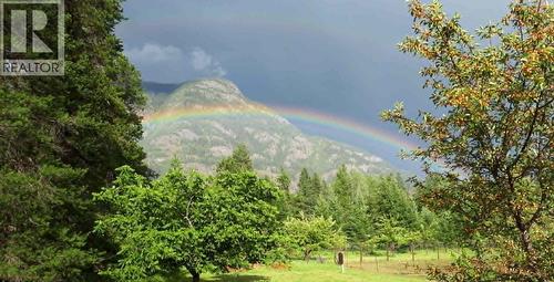 view - 3918 Passmore Upper Road, Passmore, BC - Outdoor With View