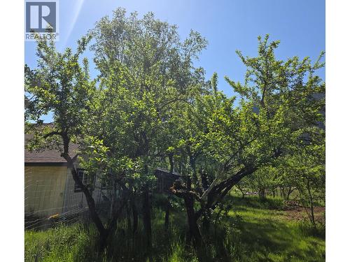 Plum trees - 3918 Passmore Upper Road, Passmore, BC - Outdoor With View