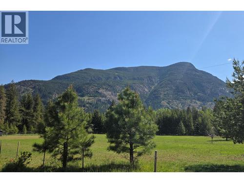 View - 3918 Passmore Upper Road, Passmore, BC - Outdoor With View