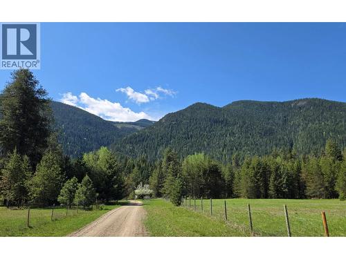 View - 3918 Passmore Upper Road, Passmore, BC - Outdoor With View