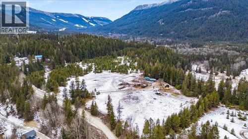 view - 3918 Passmore Upper Road, Passmore, BC - Outdoor With View