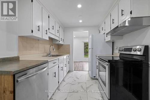 24 Tara Crescent, Thorold, ON - Indoor Photo Showing Kitchen With Double Sink