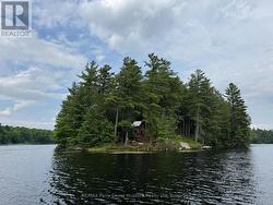 2 WOLF RIVER Parry Sound Remote Area (Mcconkey), ON P0H 1S0