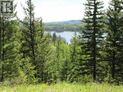 LOT 4 N BONAPARTE ROAD Bridge Lake, BC V0K 1E0