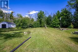 Back yard - 