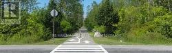 Friendship trail - 