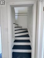Compact interior staircase featuring dark treads and light risers - 