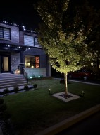 Façade - 