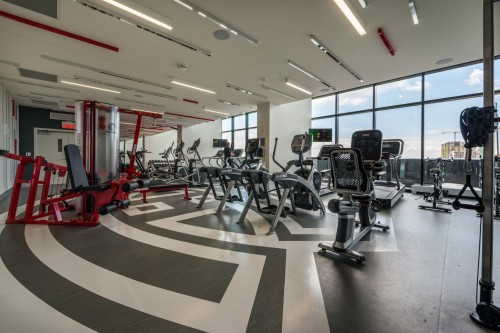 Exercise Room - 4402-1288 Av. Des Canadiens-De-Montréal, Montréal (Ville-Marie), QC - Indoor Photo Showing Gym Room