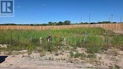 6172 CURLIN CRESCENT Niagara Falls (Forestview), ON L2H 0B8