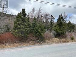 Lot #1 Main Road North River, NL A0A 3C0