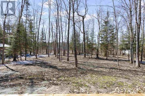 47 B River Dr, Blind River, ON - Outdoor With View