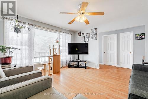 Plant lovers would love this room - 3301 Ross Avenue, Cornwall, ON - Indoor Photo Showing Living Room