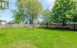 Large backyard full of possibilities - 