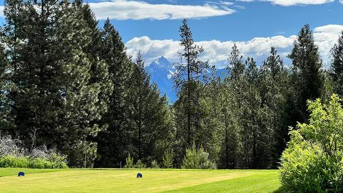 305 Corral Place, Cranbrook, BC - Outdoor With View