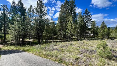 305 Corral Place, Cranbrook, BC - Outdoor With View