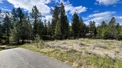 305 Corral Place, Cranbrook, BC - Outdoor With View