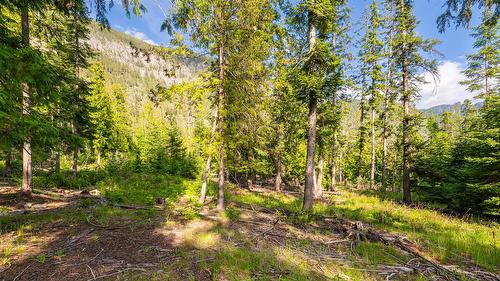 4852 48Th Street, Canyon, BC 