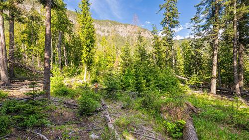 4852 48Th Street, Canyon, BC 