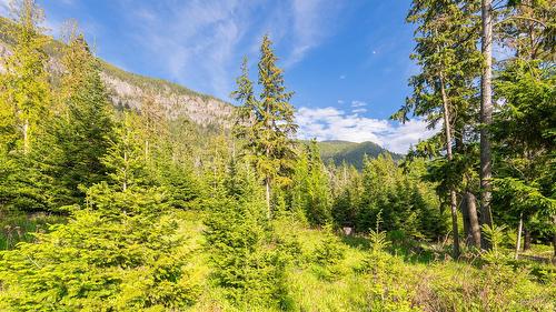 4852 48Th Street, Canyon, BC 