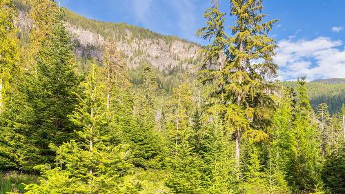 4852 48Th Street, Canyon, BC 
