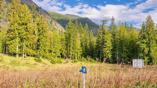 4852 48Th Street, Canyon, BC 