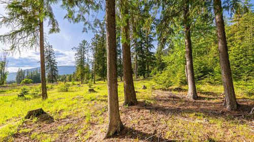 4852 48Th Street, Canyon, BC 