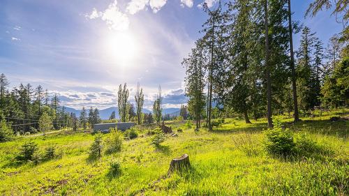 4852 48Th Street, Canyon, BC 