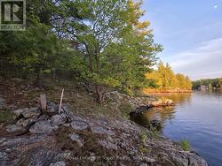 View of the Shoreline is private from next cottage - 