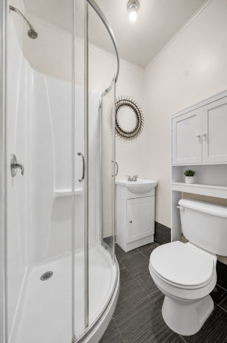 Bathroom - 283  - 293 2E Avenue, Montréal (Verdun/Île-Des-Soeurs), QC - Indoor Photo Showing Bathroom