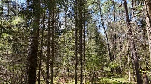 Rd - 576 Hart Road, Callander, ON 