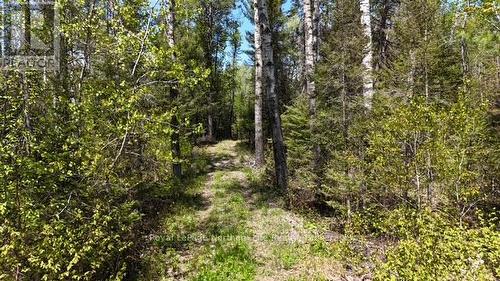 Rd - 576 Hart Road, Callander, ON 