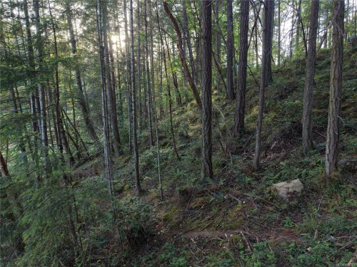 Lt 1 Ingram Rd, Nanaimo, BC 