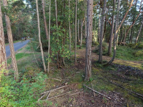 Lt 1 Ingram Rd, Nanaimo, BC 