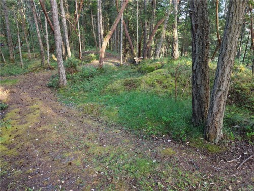 Lt 1 Ingram Rd, Nanaimo, BC 