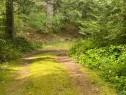 892 Parkheights Dr, Sooke, BC 