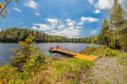 Bord de l'eau - 