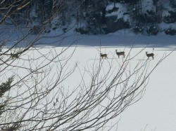 Autre - 