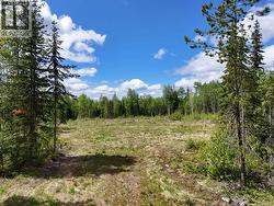3880 BIRCH HILL ROAD  Quesnel, BC V2J 6T2