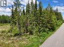 3880 Birch Hill Road, Quesnel, BC 