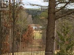 6677 CONCESSION 2 ROAD Uxbridge, ON L6P 0H6