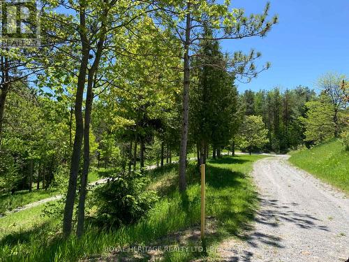 6677 Concession 2 Road, Uxbridge, ON 