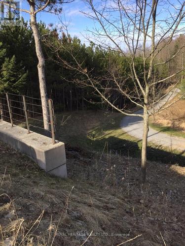 6677 Concession 2 Road, Uxbridge, ON 