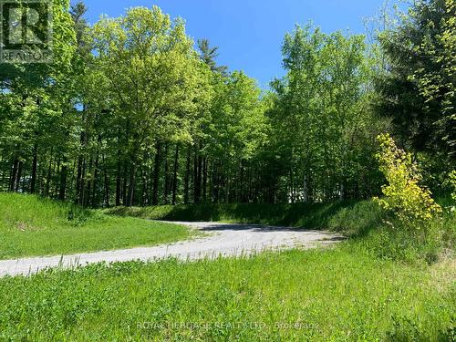 6677 Concession 2 Road, Uxbridge, ON 