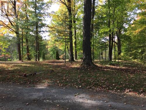 6677 Concession 2 Road, Uxbridge, ON 