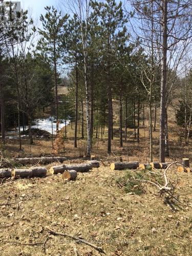 6677 Concession 2 Road, Uxbridge, ON 