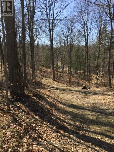 6677 Concession 2 Road, Uxbridge, ON 