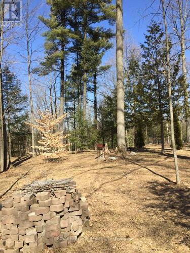 6677 Concession 2 Road, Uxbridge, ON 