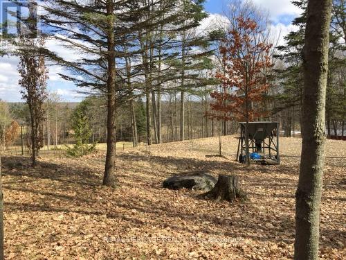 6677 Concession 2 Road, Uxbridge, ON 