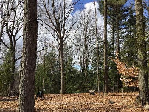 6677 Concession 2 Road, Uxbridge, ON 